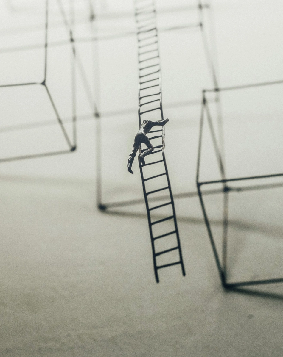 Merit-Based Opportunity